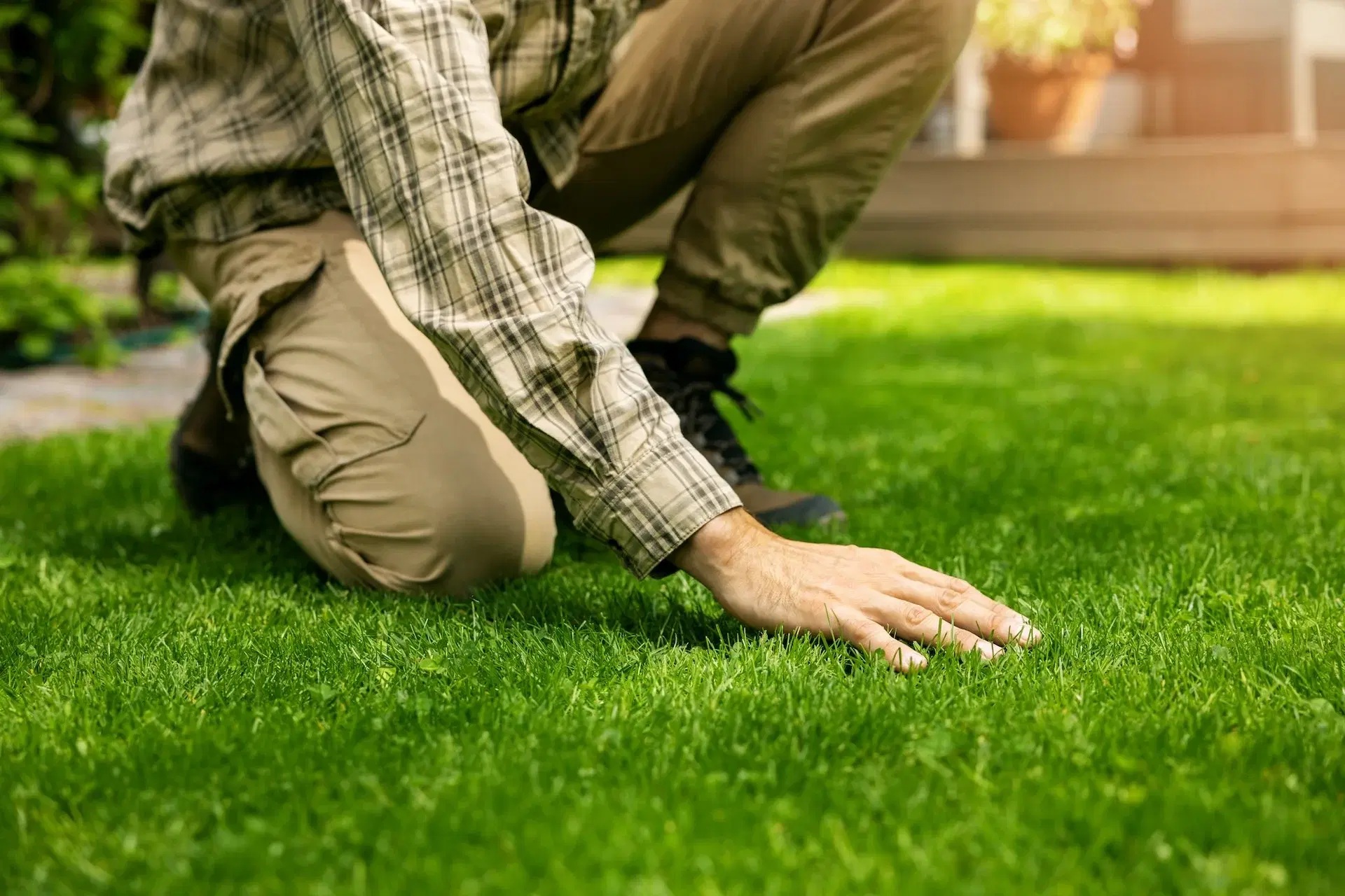 Crew checking turf health on a Texas property